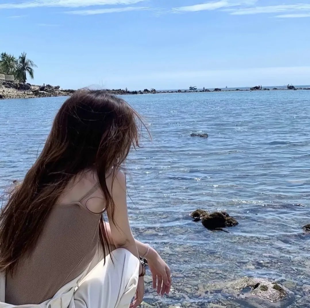 汪汪队立大功第八季